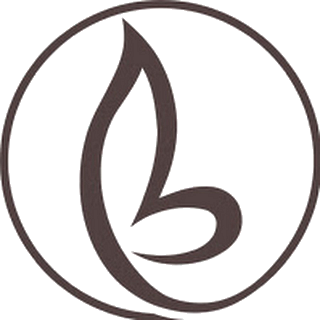 Bravour logo