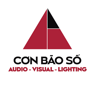 DIGITAL STORM COMPANY LIMITED logo