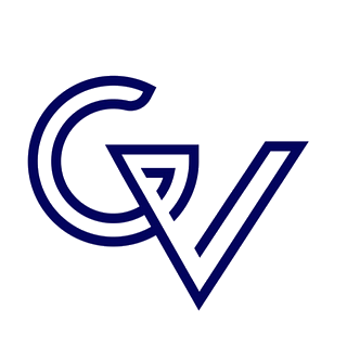 Go Virtual IT Store logo