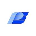 Servall Data Systems Inc. logo