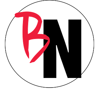 Beautiful Networks, LLC logo