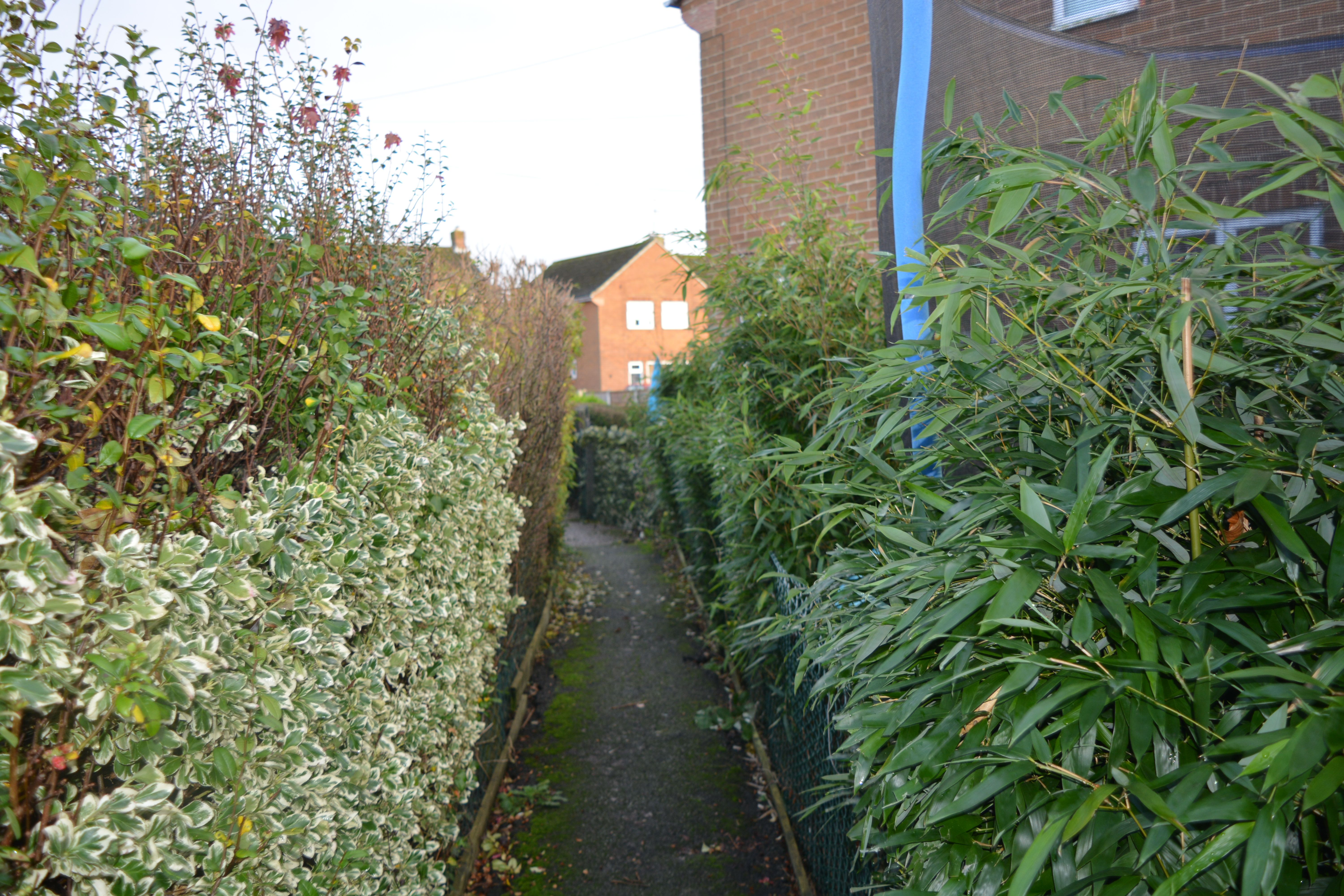 overgrowing foliage towards Marsden Close