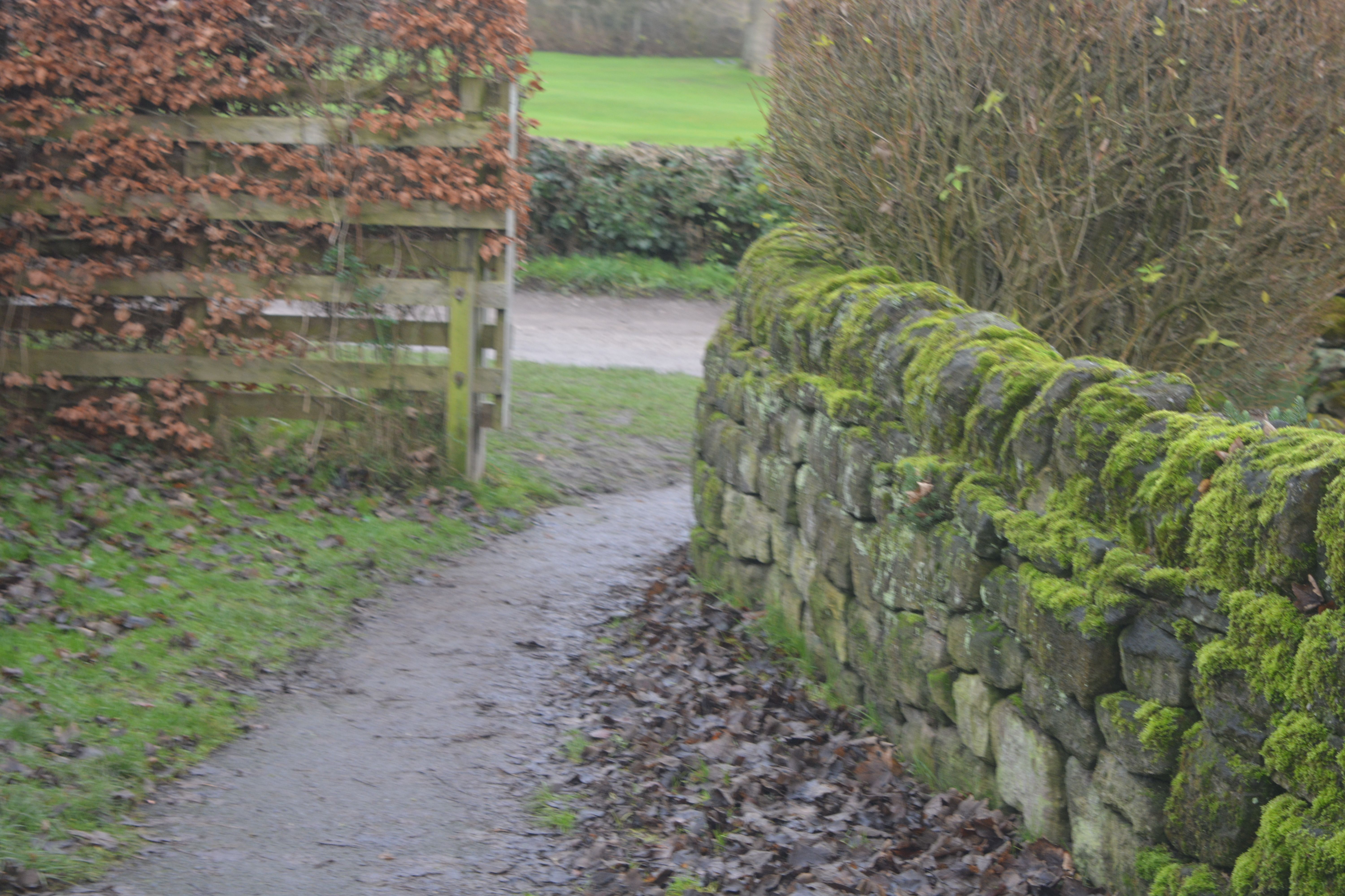 Narrow cambered access to Golf Lane