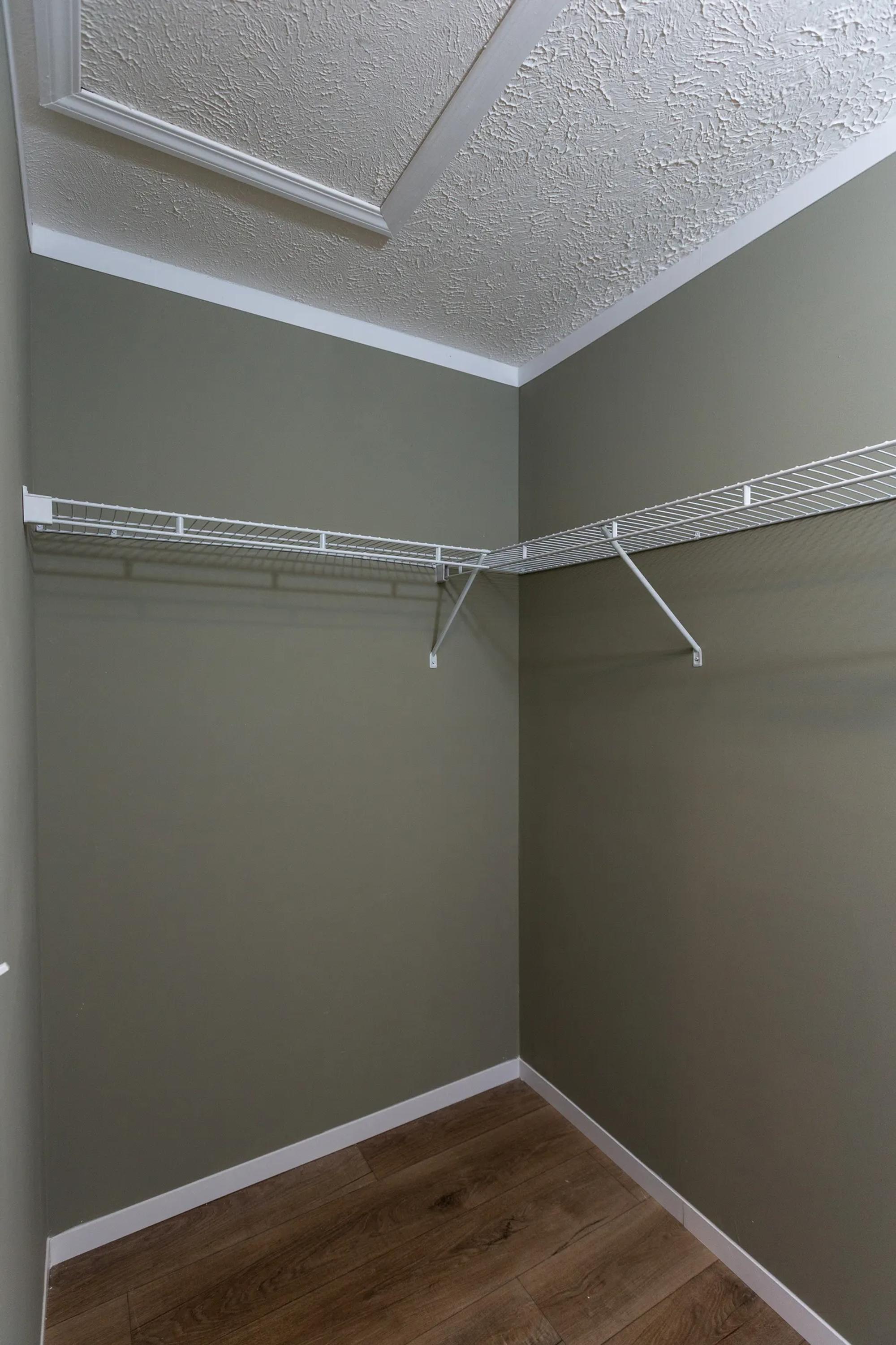 Walk-in-closet with green walls