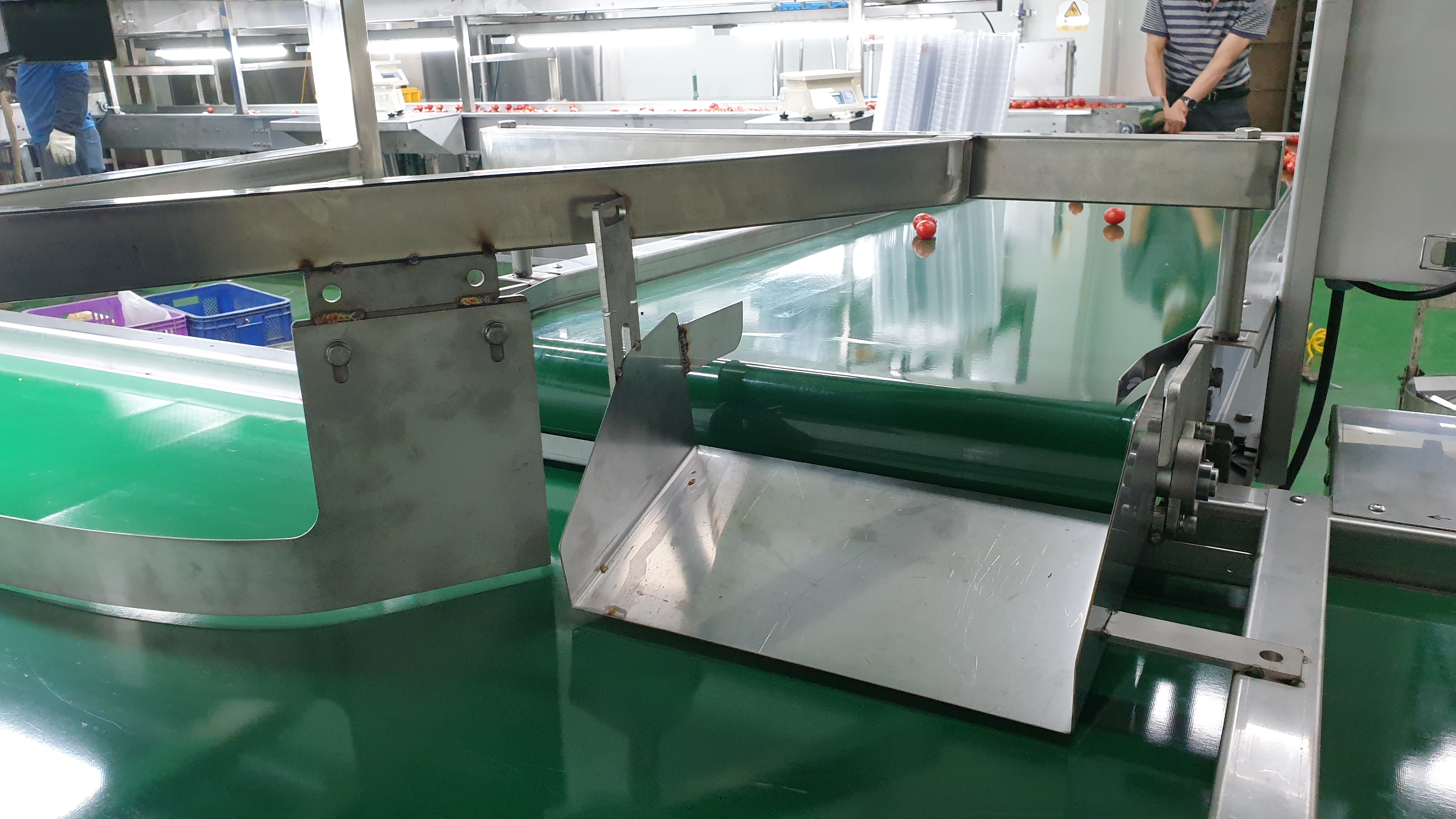 레드컨베이어_미래ENG_벨트컨베이어 1