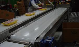 Cover Image for 레드컨베이어 | 하림 닭 공장 벨트 컨베이어