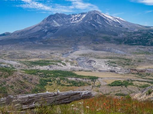 Mt. St. Helens with Wildflowers 2
