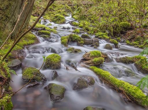 Multnomah Creek