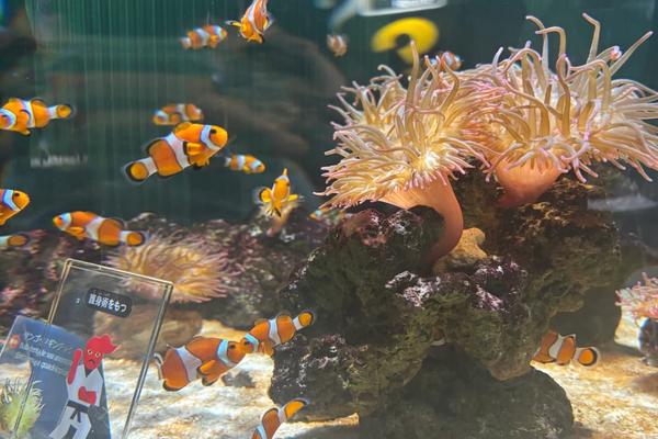 スタッフ近況🐟