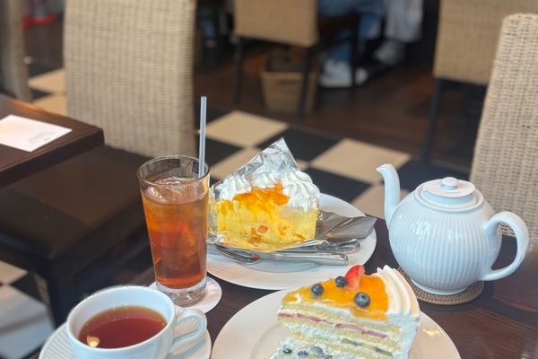 スタッフ近況