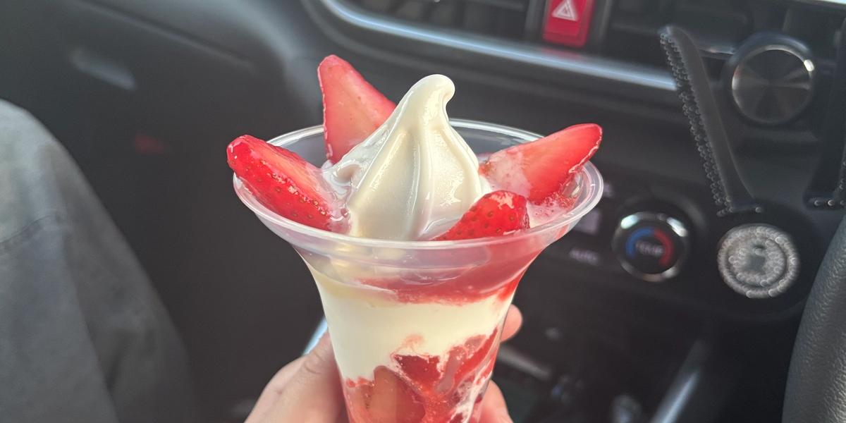 スタッフ近況🍓