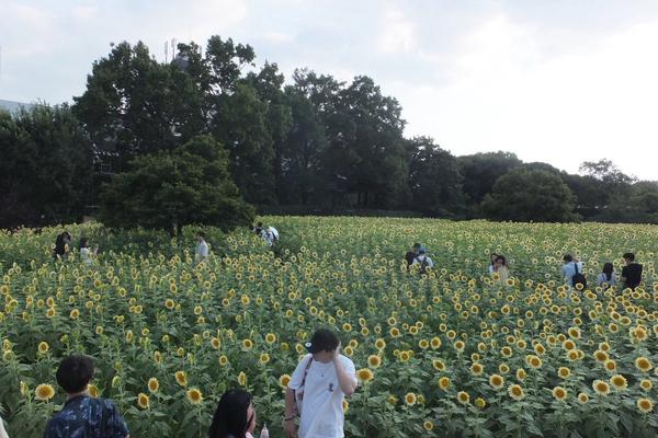 スタッフの近況🌻