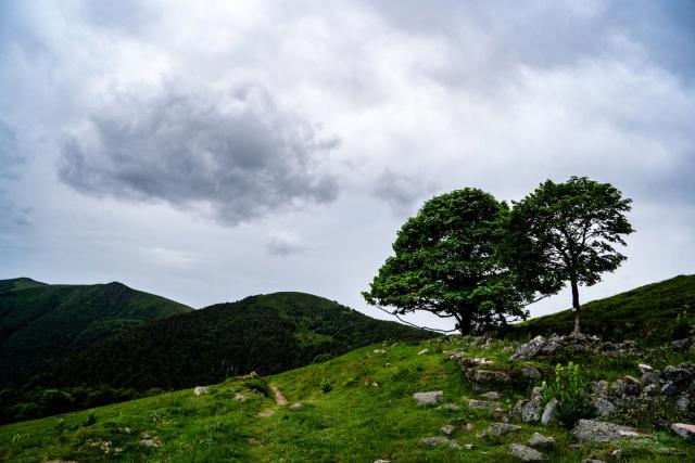 Lors de l’été 2024, je me suis rendu dans les Vosges pour réaliser une randonnée pédestre de 50 km autour du Petit Hohneck. Une aventure entre amis à travers les sentiers de montagne, les forêts et les lacs du massif vosgien, que j’ai photographiée au fil du parcours.