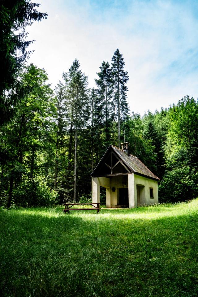 Lors de l’été 2024, je me suis rendu dans les Vosges pour réaliser une randonnée pédestre de 50 km autour du Petit Hohneck. Une aventure entre amis à travers les sentiers de montagne, les forêts et les lacs du massif vosgien, que j’ai photographiée au fil du parcours.