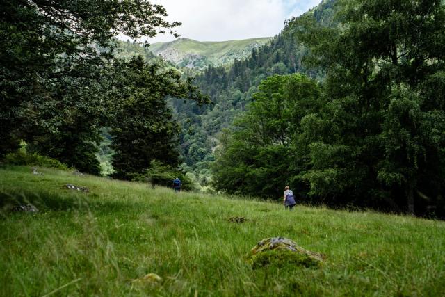 Lors de l’été 2024, je me suis rendu dans les Vosges pour réaliser une randonnée pédestre de 50 km autour du Petit Hohneck. Une aventure entre amis à travers les sentiers de montagne, les forêts et les lacs du massif vosgien, que j’ai photographiée au fil du parcours.