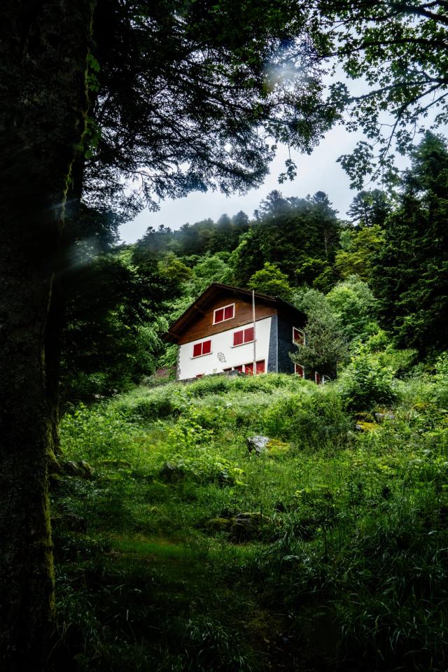 Lors de l’été 2024, je me suis rendu dans les Vosges pour réaliser une randonnée pédestre de 50 km autour du Petit Hohneck. Une aventure entre amis à travers les sentiers de montagne, les forêts et les lacs du massif vosgien, que j’ai photographiée au fil du parcours.