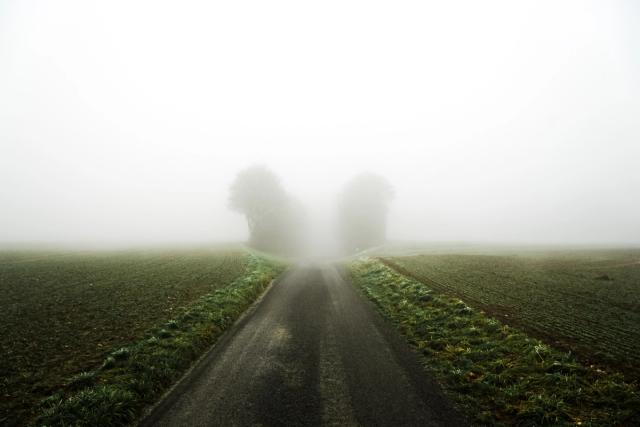 Brouillard est une mini-série de photographie artistique née d’une période de doute et de questionnement sur ma pratique photographique. À travers des images aux atmosphères éthérées, mystérieuses et brumeuses, j’ai cherché à donner une forme visuelle à mes idées floues et à mes émotions.  À la fin de mes études en photographie, je me questionnais sur ma démarche artistique : créer était-il encore une passion ou était-ce devenu une obligation ? Cette série photographique est alors devenue une manière de renouer avec le plaisir simple et instinctif de photographier.  Entre brouillard, paysages énigmatiques et atmosphères contemplatives, je me suis volontairement perdu dans l’image pour retrouver une forme de liberté créative. Malgré la peur du refus et les doutes liés à ma pratique, Brouillard m’a permis de photographier sans chercher immédiatement à expliquer ou à convaincre, en laissant simplement les images parler à ma place.