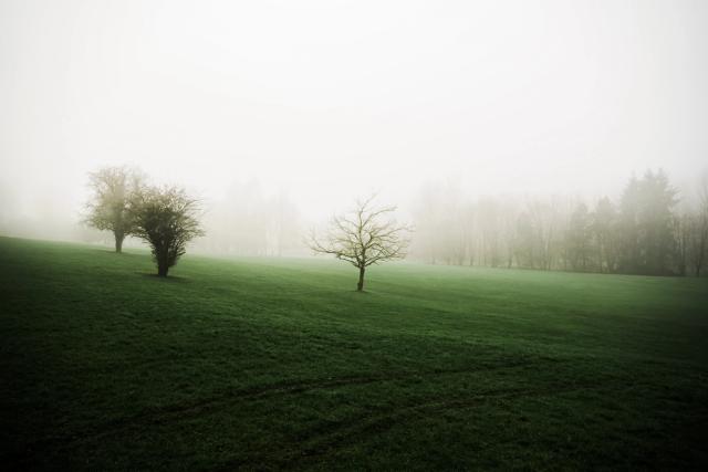 Brouillard est une mini-série de photographie artistique née d’une période de doute et de questionnement sur ma pratique photographique. À travers des images aux atmosphères éthérées, mystérieuses et brumeuses, j’ai cherché à donner une forme visuelle à mes idées floues et à mes émotions.  À la fin de mes études en photographie, je me questionnais sur ma démarche artistique : créer était-il encore une passion ou était-ce devenu une obligation ? Cette série photographique est alors devenue une manière de renouer avec le plaisir simple et instinctif de photographier.  Entre brouillard, paysages énigmatiques et atmosphères contemplatives, je me suis volontairement perdu dans l’image pour retrouver une forme de liberté créative. Malgré la peur du refus et les doutes liés à ma pratique, Brouillard m’a permis de photographier sans chercher immédiatement à expliquer ou à convaincre, en laissant simplement les images parler à ma place.
