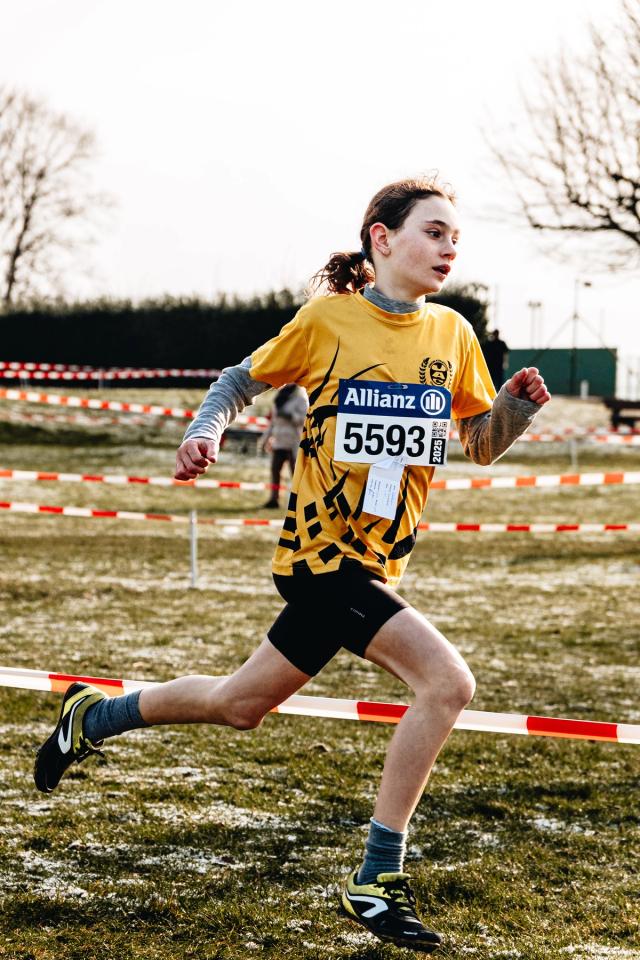 Dans le cadre d’une collaboration avec le Club d’athlétisme de Fleurus, j’ai réalisé en 2024 un reportage photographique sportif lors de leur cross annuel à Fleurus. Cette série met en avant l’effort, le dépassement de soi et l’ambiance de la compétition à travers des photographies de course à pied et d’athlétisme. Une expérience qui s’inscrit dans mon travail de photographe sportif en Belgique.