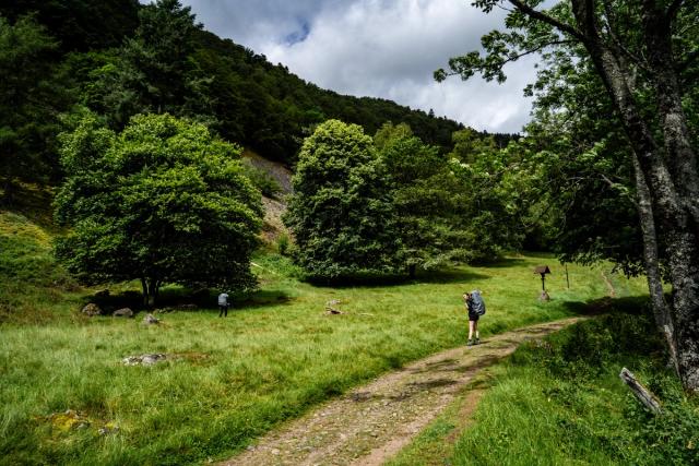 Lors de l’été 2024, je me suis rendu dans les Vosges pour réaliser une randonnée pédestre de 50 km autour du Petit Hohneck. Une aventure entre amis à travers les sentiers de montagne, les forêts et les lacs du massif vosgien, que j’ai photographiée au fil du parcours.