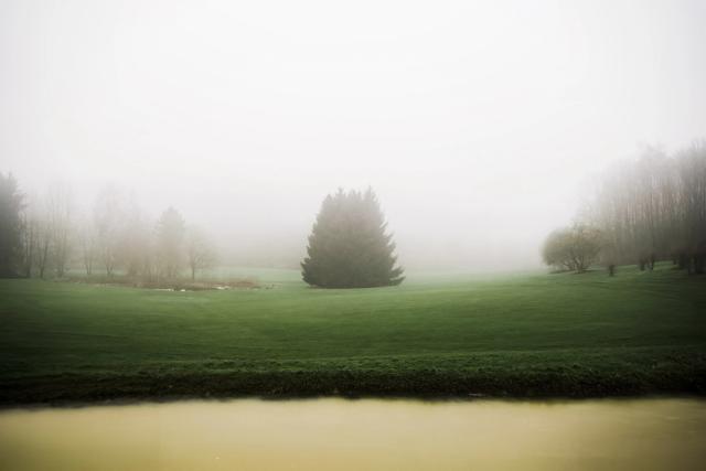 Brouillard est une mini-série de photographie artistique née d’une période de doute et de questionnement sur ma pratique photographique. À travers des images aux atmosphères éthérées, mystérieuses et brumeuses, j’ai cherché à donner une forme visuelle à mes idées floues et à mes émotions.  À la fin de mes études en photographie, je me questionnais sur ma démarche artistique : créer était-il encore une passion ou était-ce devenu une obligation ? Cette série photographique est alors devenue une manière de renouer avec le plaisir simple et instinctif de photographier.  Entre brouillard, paysages énigmatiques et atmosphères contemplatives, je me suis volontairement perdu dans l’image pour retrouver une forme de liberté créative. Malgré la peur du refus et les doutes liés à ma pratique, Brouillard m’a permis de photographier sans chercher immédiatement à expliquer ou à convaincre, en laissant simplement les images parler à ma place.