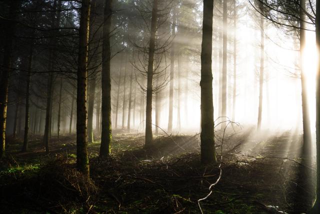 En 2024, je suis parti à la découverte de Nisramont, au cœur des Ardennes belges, lors d’une randonnée d’une trentaine de kilomètres autour du lac de Nisramont. J’ai parcouru les sentiers à travers bois et forêts, entre paysages naturels, reliefs ardennais et points de vue sur le lac.  Cette longue randonnée pédestre m’a permis de découvrir autrement cette région emblématique des Ardennes et de photographier les paysages rencontrés au fil du parcours. Une aventure entre randonnée, nature et photographie outdoor.