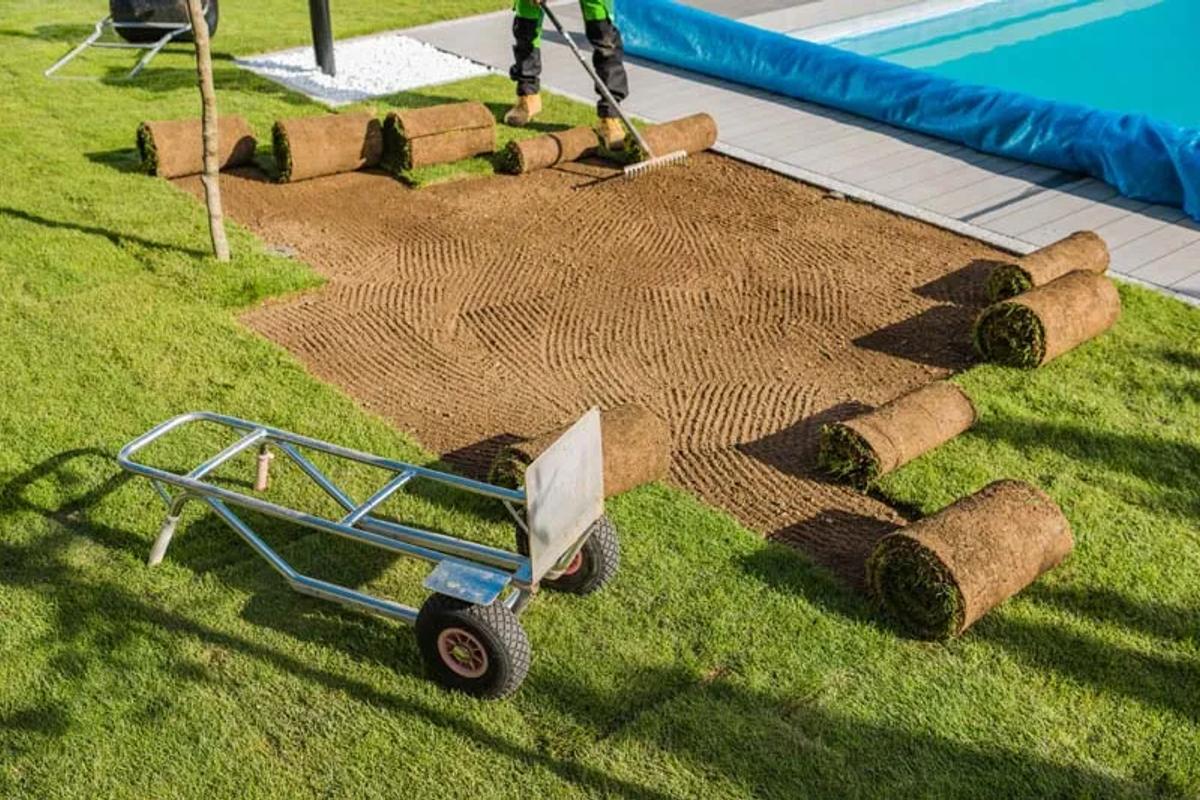 Lawn Renovation