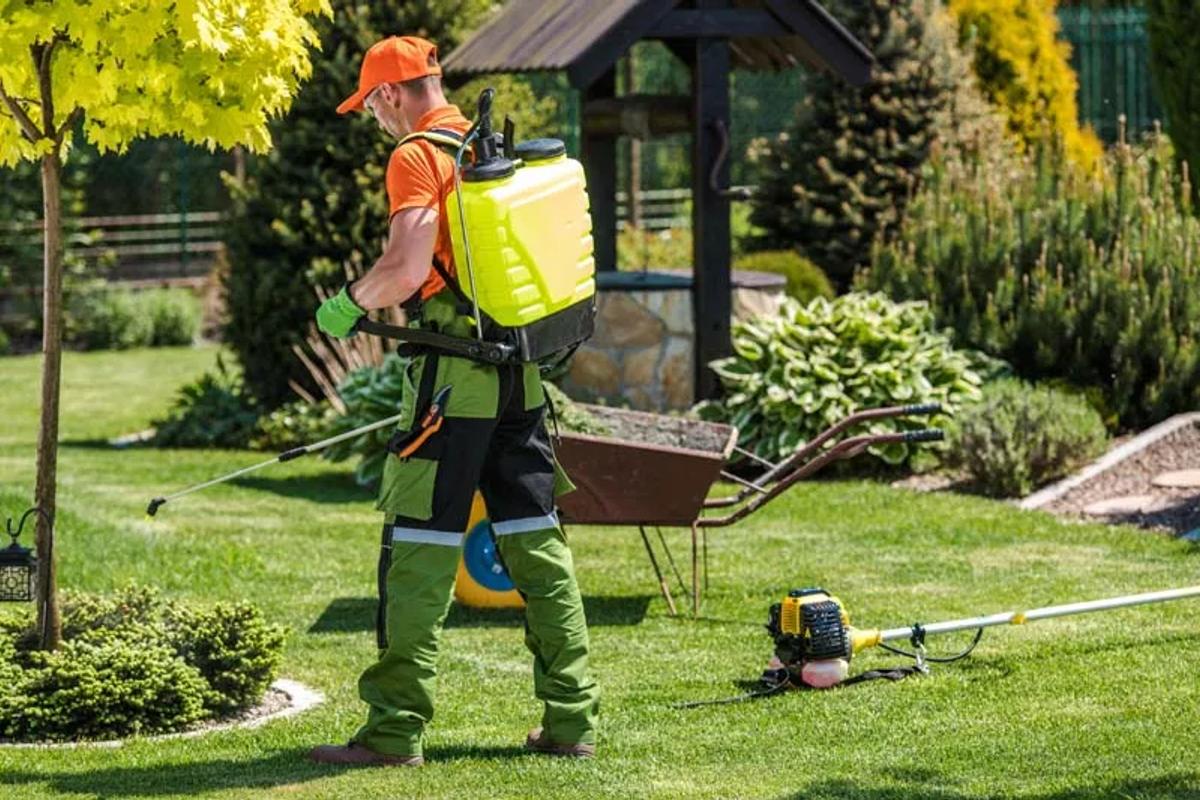 Lawn Fertilization