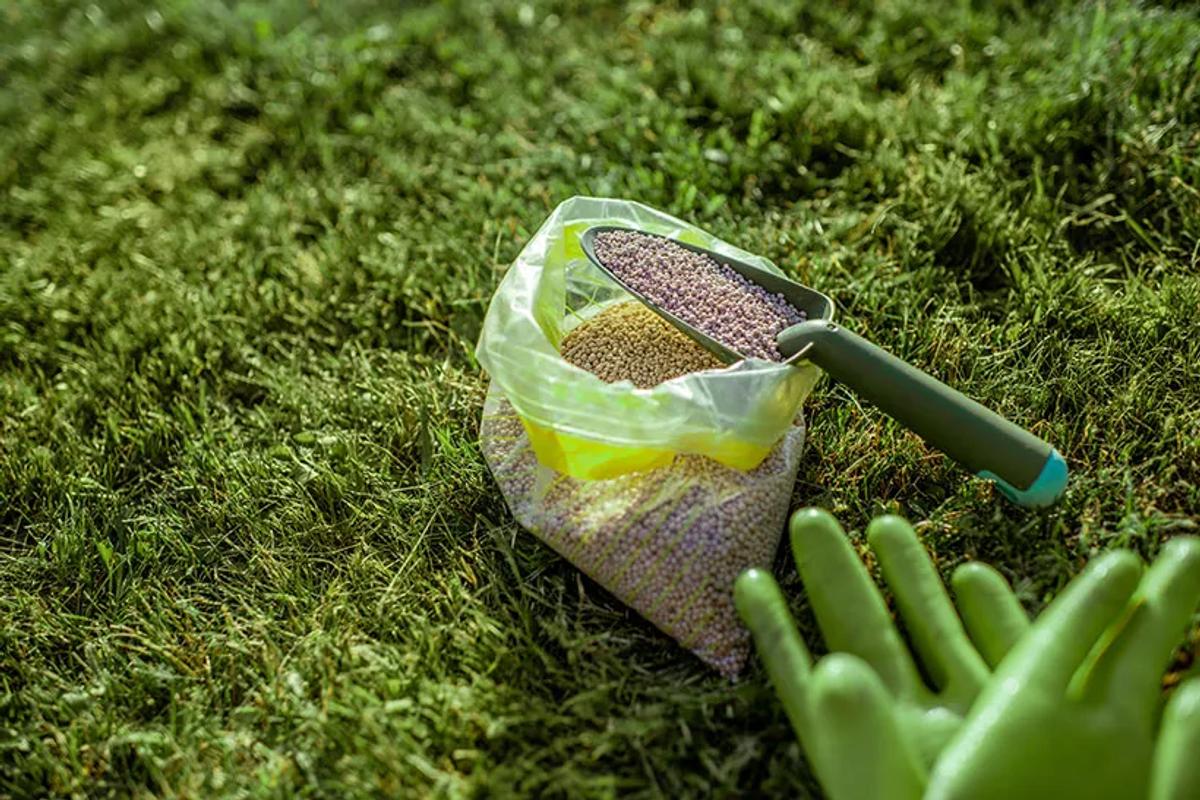 Lawn Disease Control