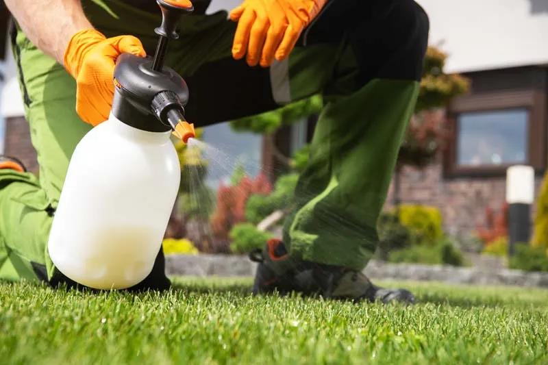 Lawn Fertilization