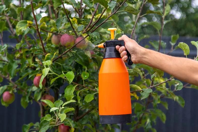 Tree Fertilization