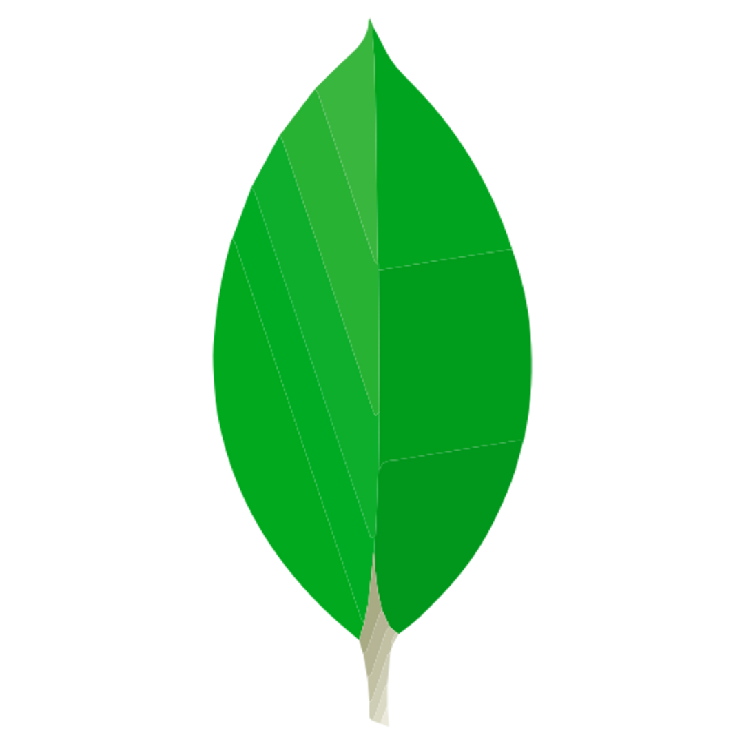 MongoDB