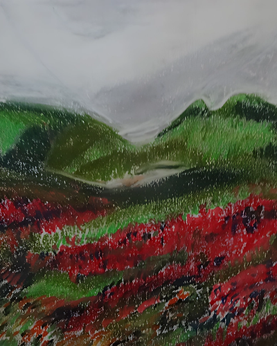 Les champs de Lavende dans Poet Laval