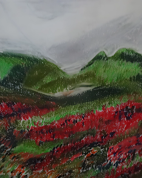 Les champs de Lavende dans Poet Laval