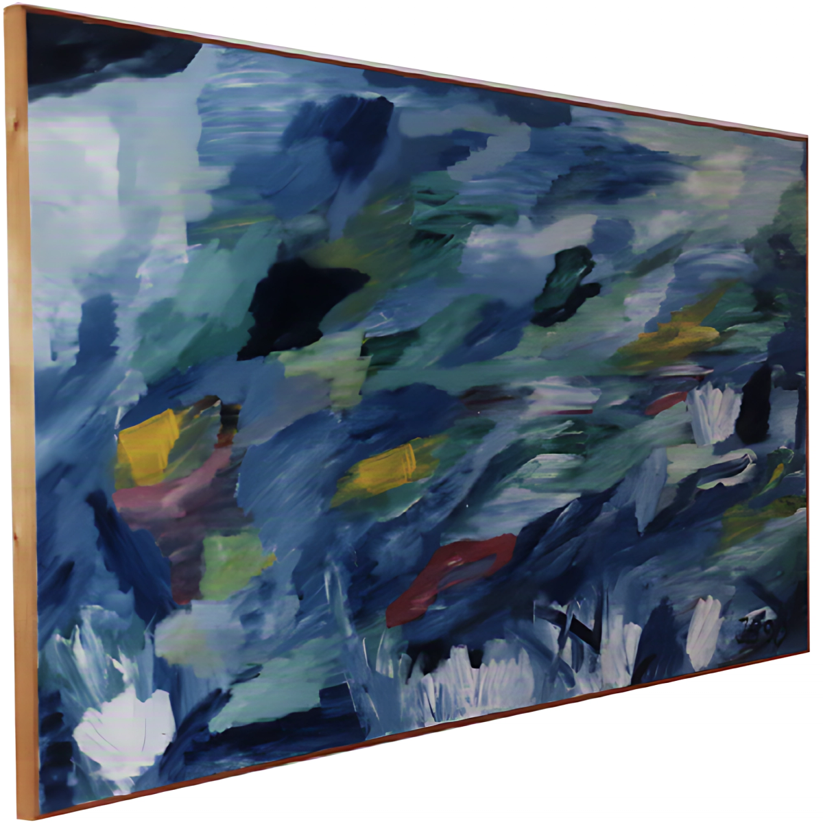 De kust van Mangalore India