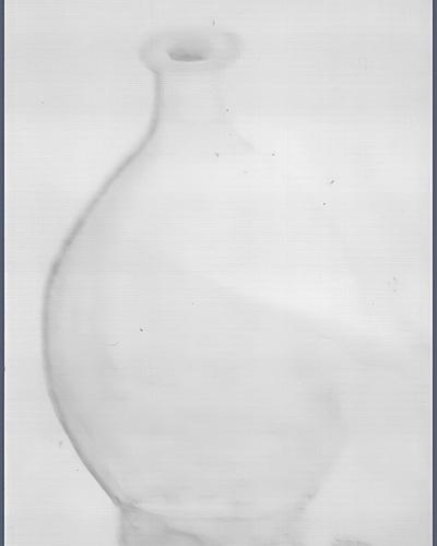 Spaanse waterkruik (verkeerde schaduw)