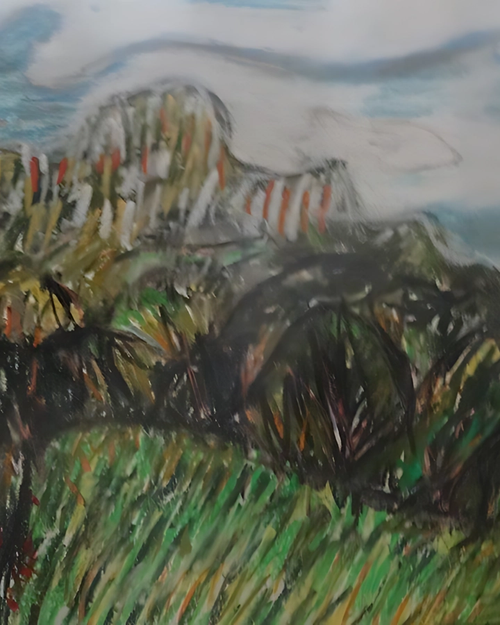 Les Alpilles Color