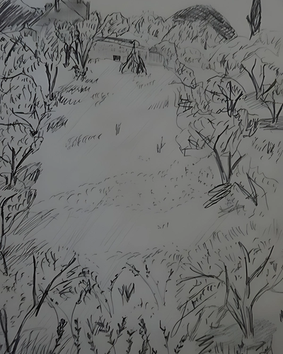 Les champs d'en face st Paul de Maulole