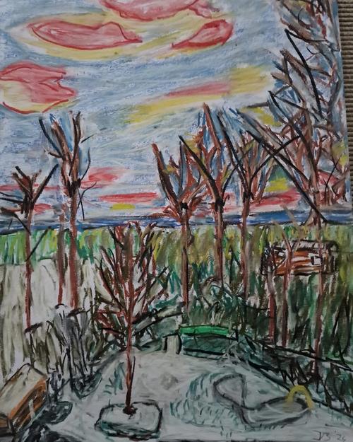 Bomen in de schemering Schellinkhout