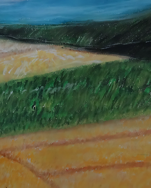 Les champs couleur vert