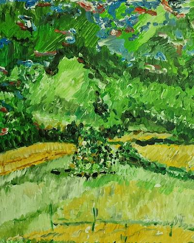 Le plateau apres le pluis