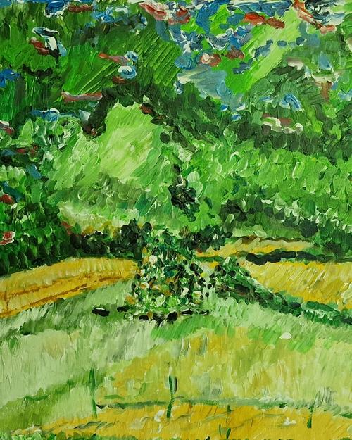 Le plateau apres le pluis