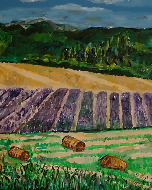 Lavander plantage dans la Drome