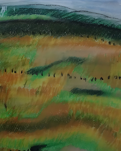 Les champs dans Pont de Barret