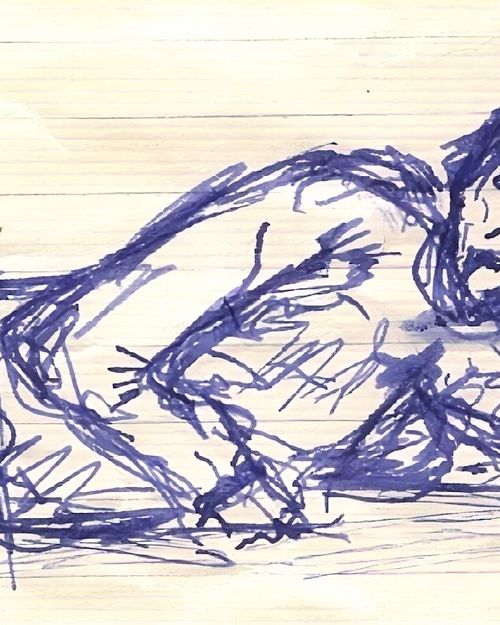 Aris van Braam liggend