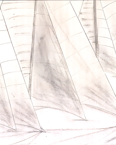 Studie zeilwedstrijd