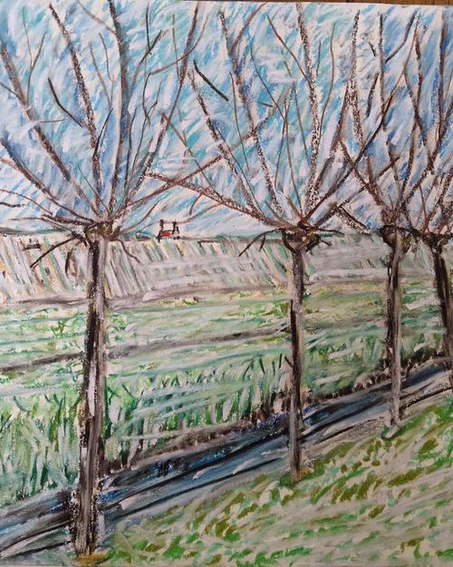 Uitzicht Limmerpolder