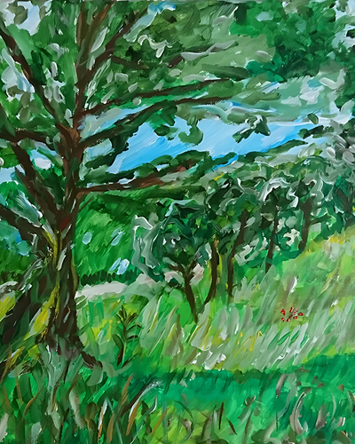 Les Olivier dans le champ