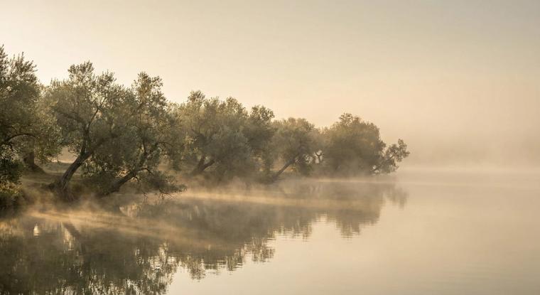 Still misty lake at dawn