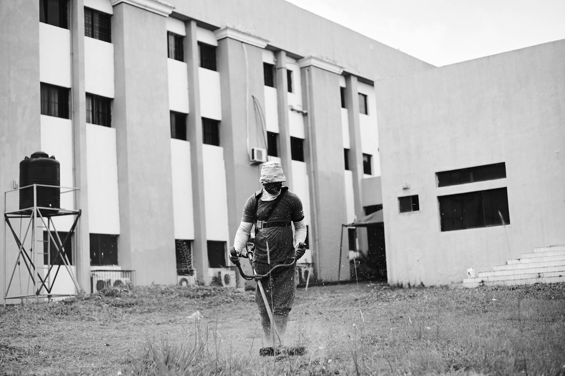 legal professional service